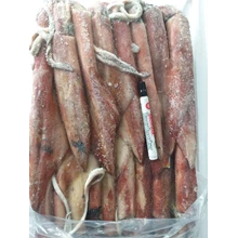 Frozen Cumi Susun 2 (20-25 kg per cartoon)